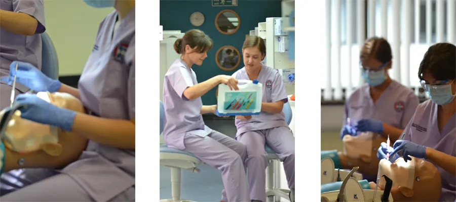 3 separate images of dental students practicing on dummies